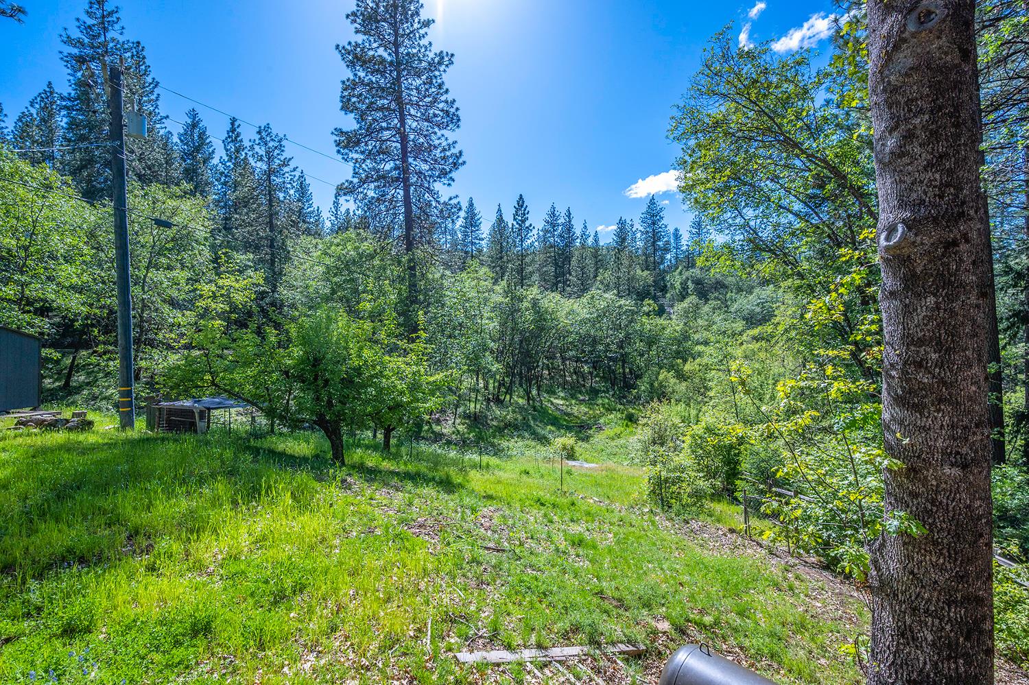 6141 Sweeney Road Somerset, CA 95684 - Photo 60 of 67 a view of a garden with a house