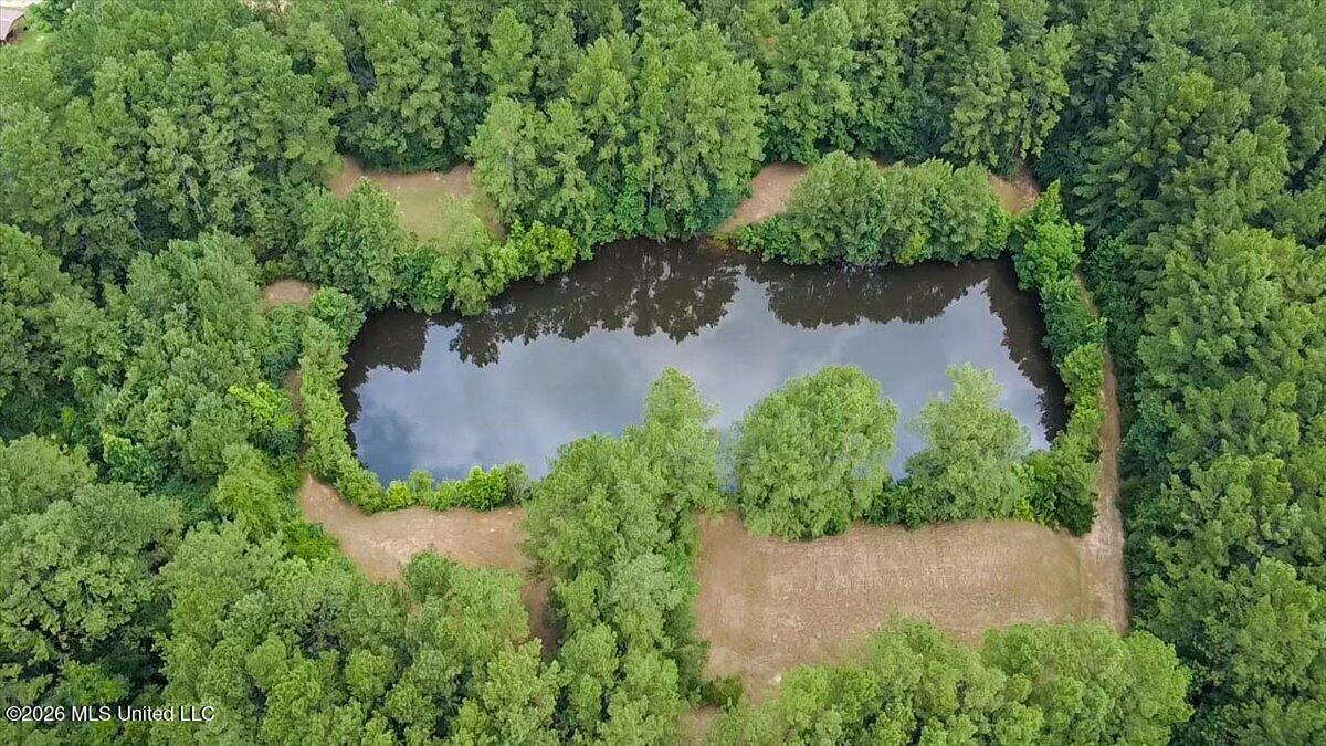 3181 Centerville Road Magnolia, MS 39652 - Photo 43 of 53 43-2026-06-25-11-43-13-134