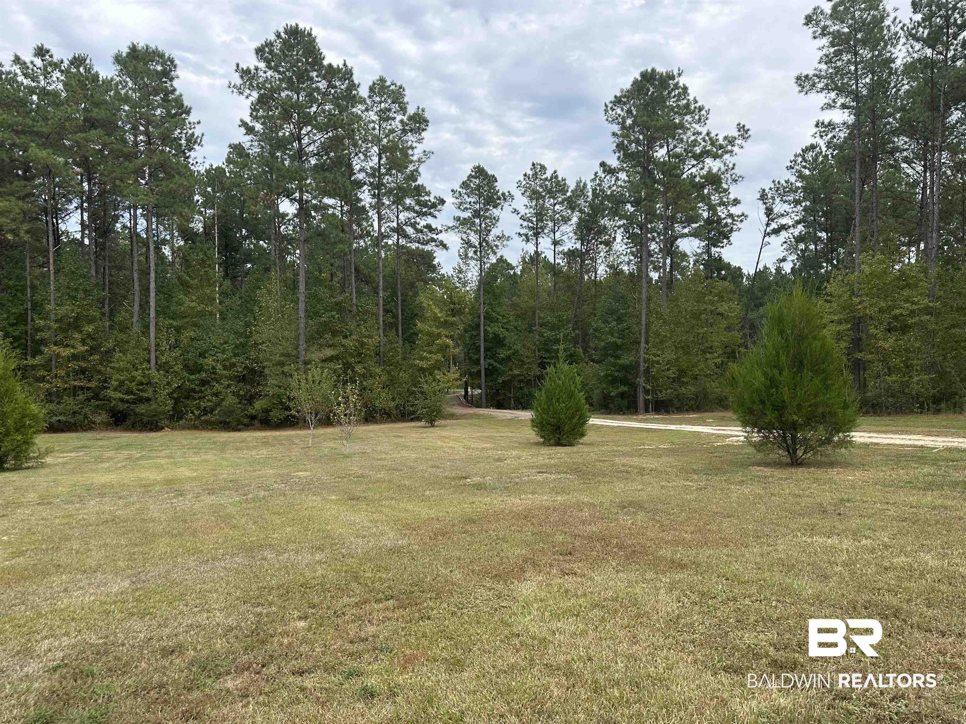 33451 County Road 64 Extension Robertsdale, AL 36567 - Photo 39 of 41