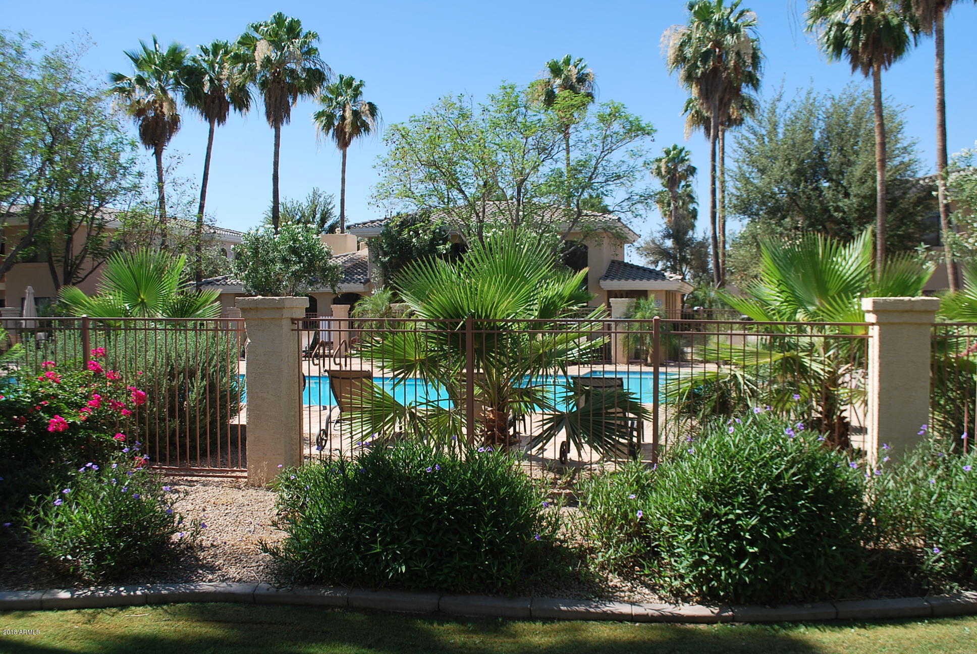 10030 West Indian School Road, Unit 158 Phoenix, AZ 85037 - Photo 27 of 28 a view of a garden with a flower garden