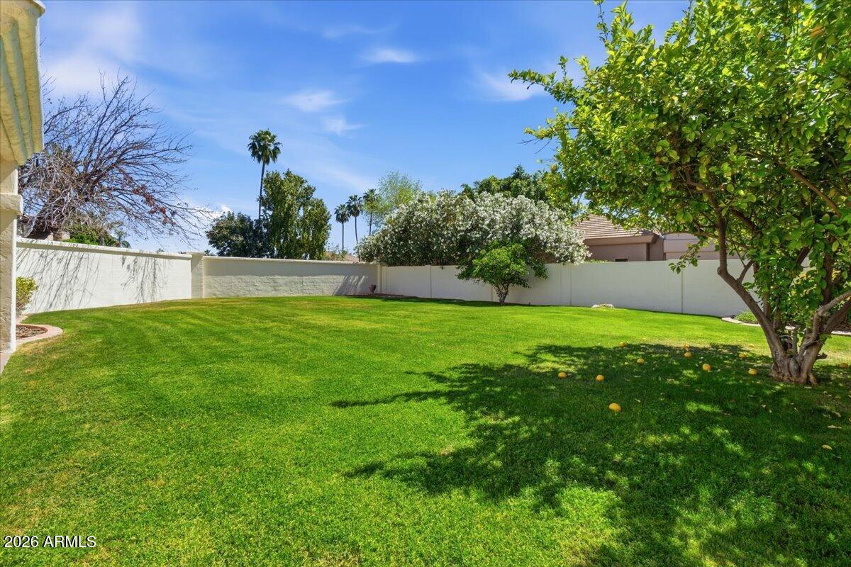 1919 East Clipper Court Gilbert, AZ 85234 - Photo 43 of 62 Huge Yard