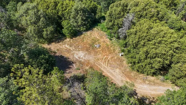 a view of a yard with a tree
