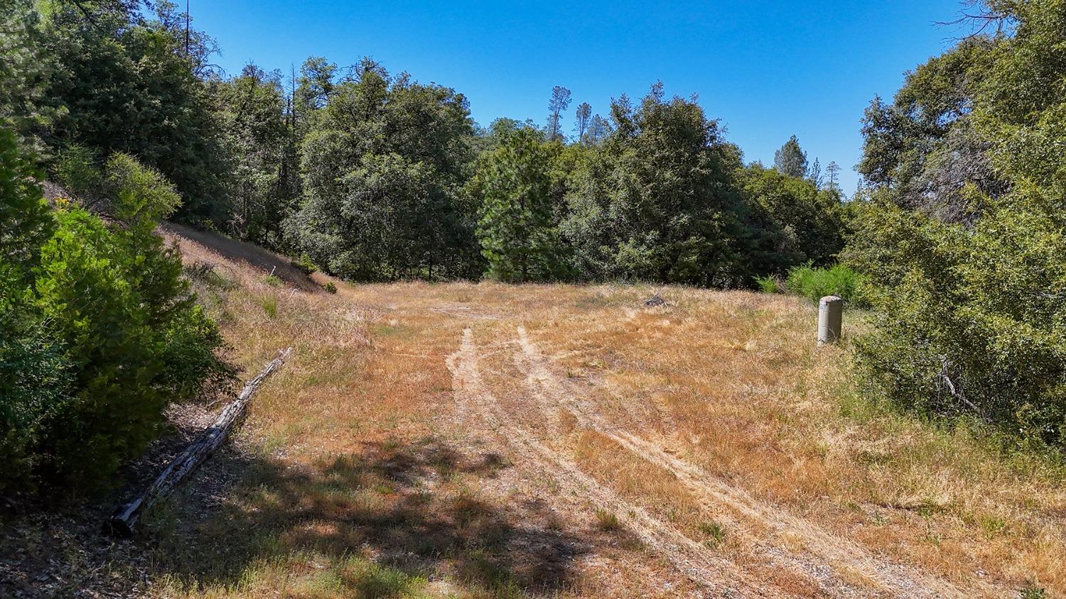 6860 Ant Hill Road Somerset, CA 95684 - Photo 16 of 40 a backyard of a house with trees