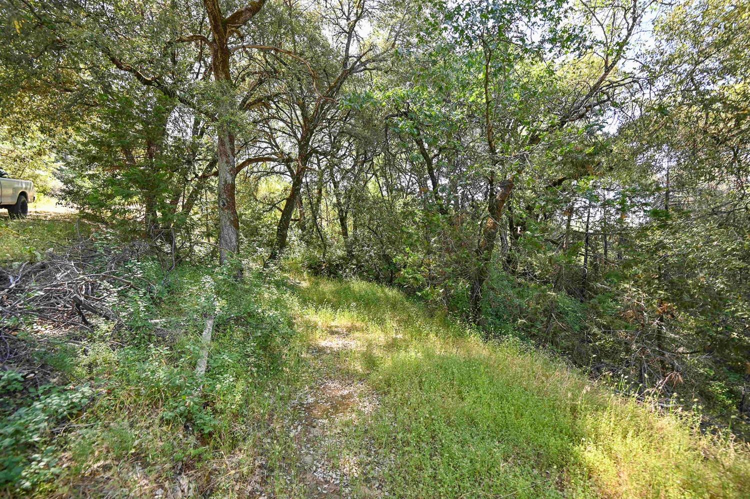6860 Ant Hill Road Somerset, CA 95684 - Photo 19 of 40 a view of a green yard
