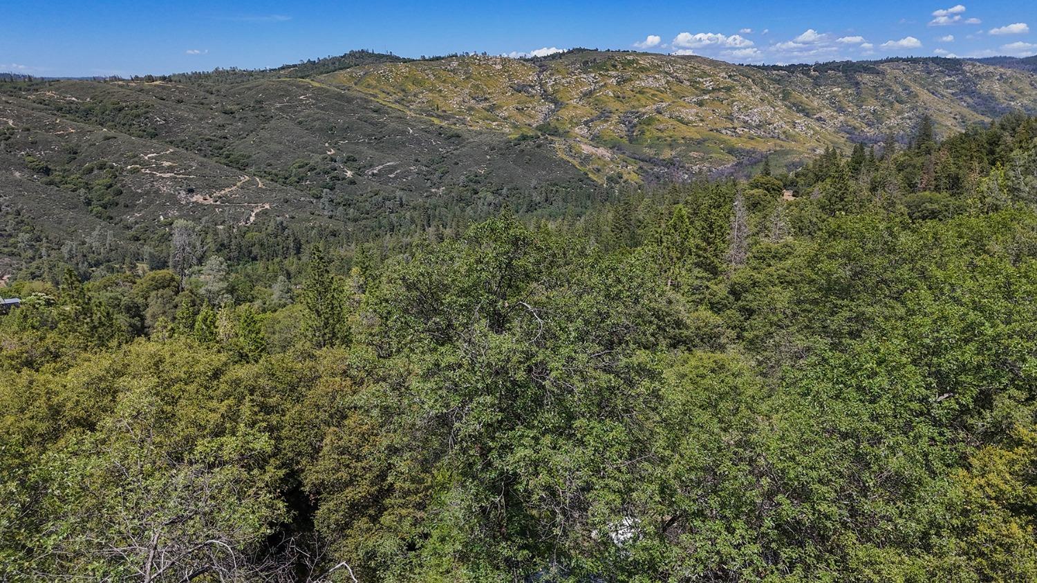 6860 Ant Hill Road Somerset, CA 95684 - Photo 21 of 40 a view of a forest with a mountain