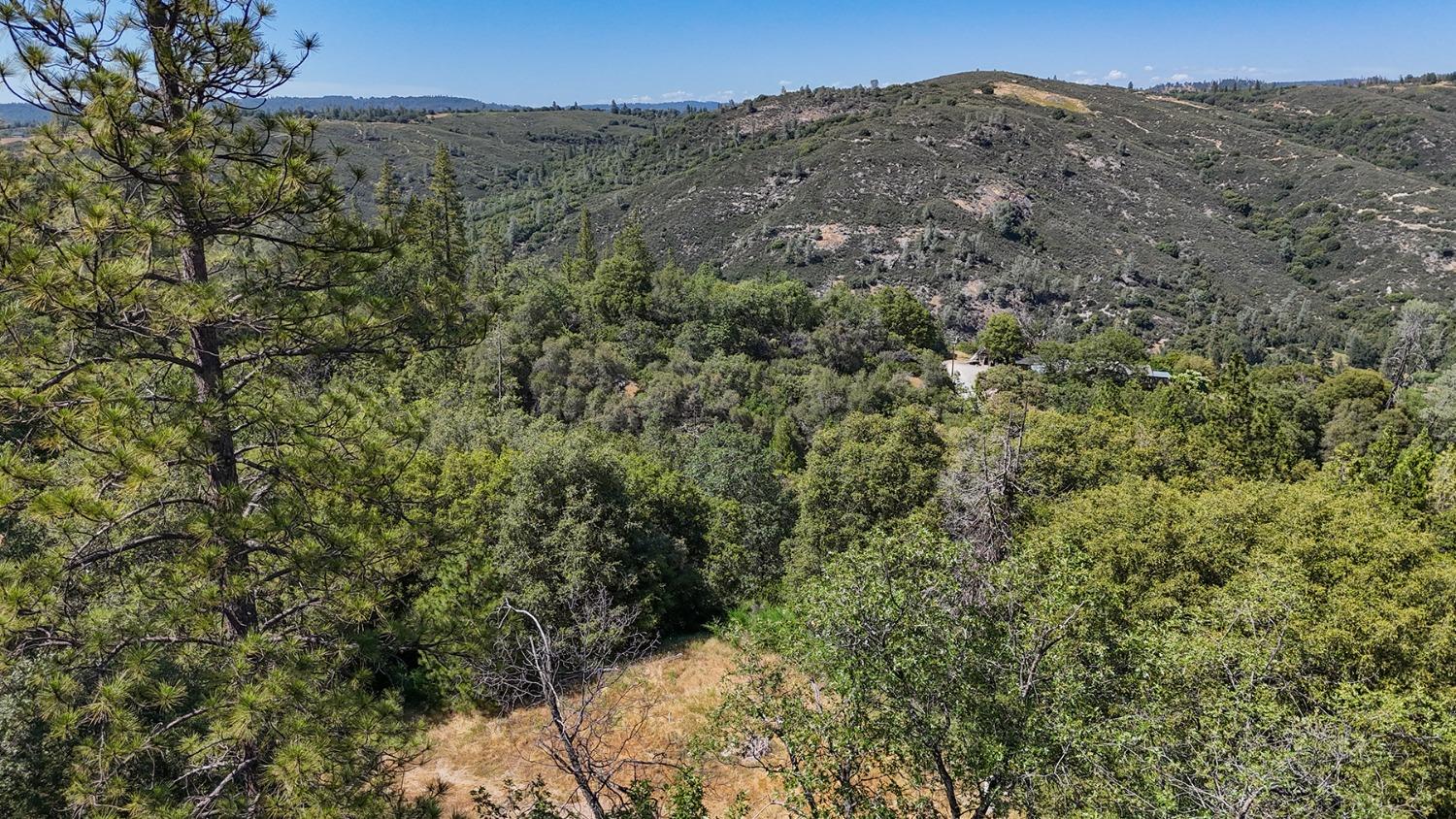 6860 Ant Hill Road Somerset, CA 95684 - Photo 22 of 40 a view of a large tree