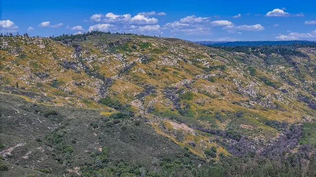 a view of a backyard of a house