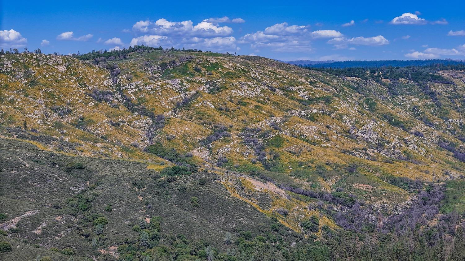 6860 Ant Hill Road Somerset, CA 95684 - Photo 23 of 40 a view of a yard with an outdoor space