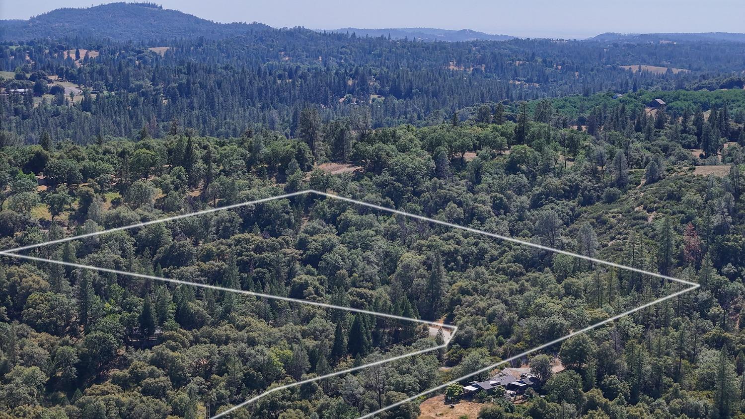 6860 Ant Hill Road Somerset, CA 95684 - Photo 28 of 40 a view of a forest