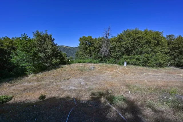 a view of a field with trees in background