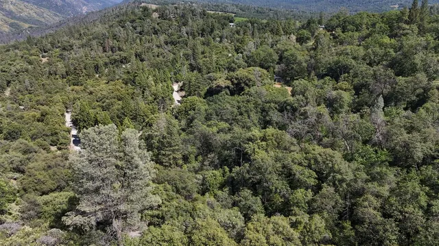 a view of a field with mountains in the background