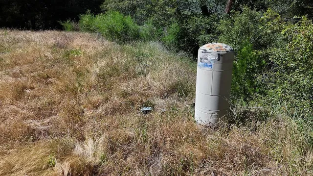 a view of a yard with a tree