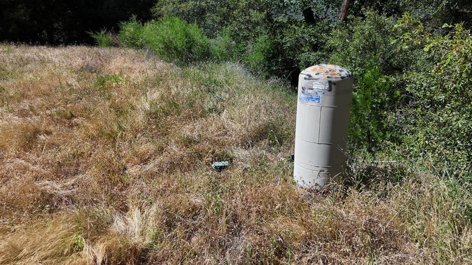 6860 Ant Hill Road Somerset, CA 95684 - Photo 37 of 40 a close up of a tree in a garden