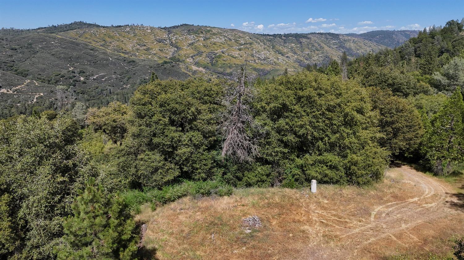 6860 Ant Hill Road Somerset, CA 95684 - Photo 38 of 40 a view of a yard with a tree