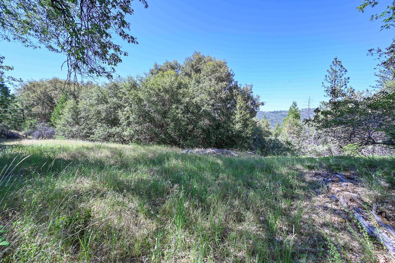6860 Ant Hill Road Somerset, CA 95684 - Photo 40 of 40 a view of a lush green space