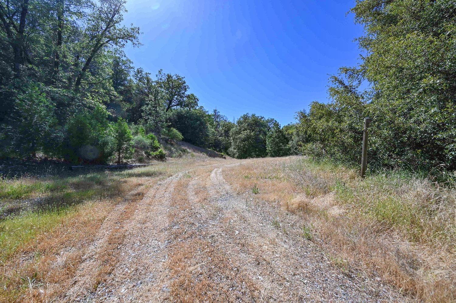 6860 Ant Hill Road Somerset, CA 95684 - Photo 4 of 40 a view of a road with a yard