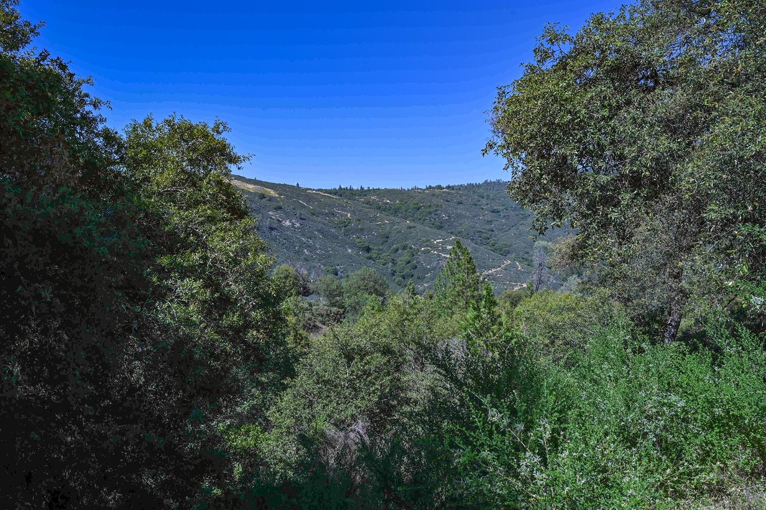 6860 Ant Hill Road Somerset, CA 95684 - Photo 5 of 40 a view of a yard with a tree in the background