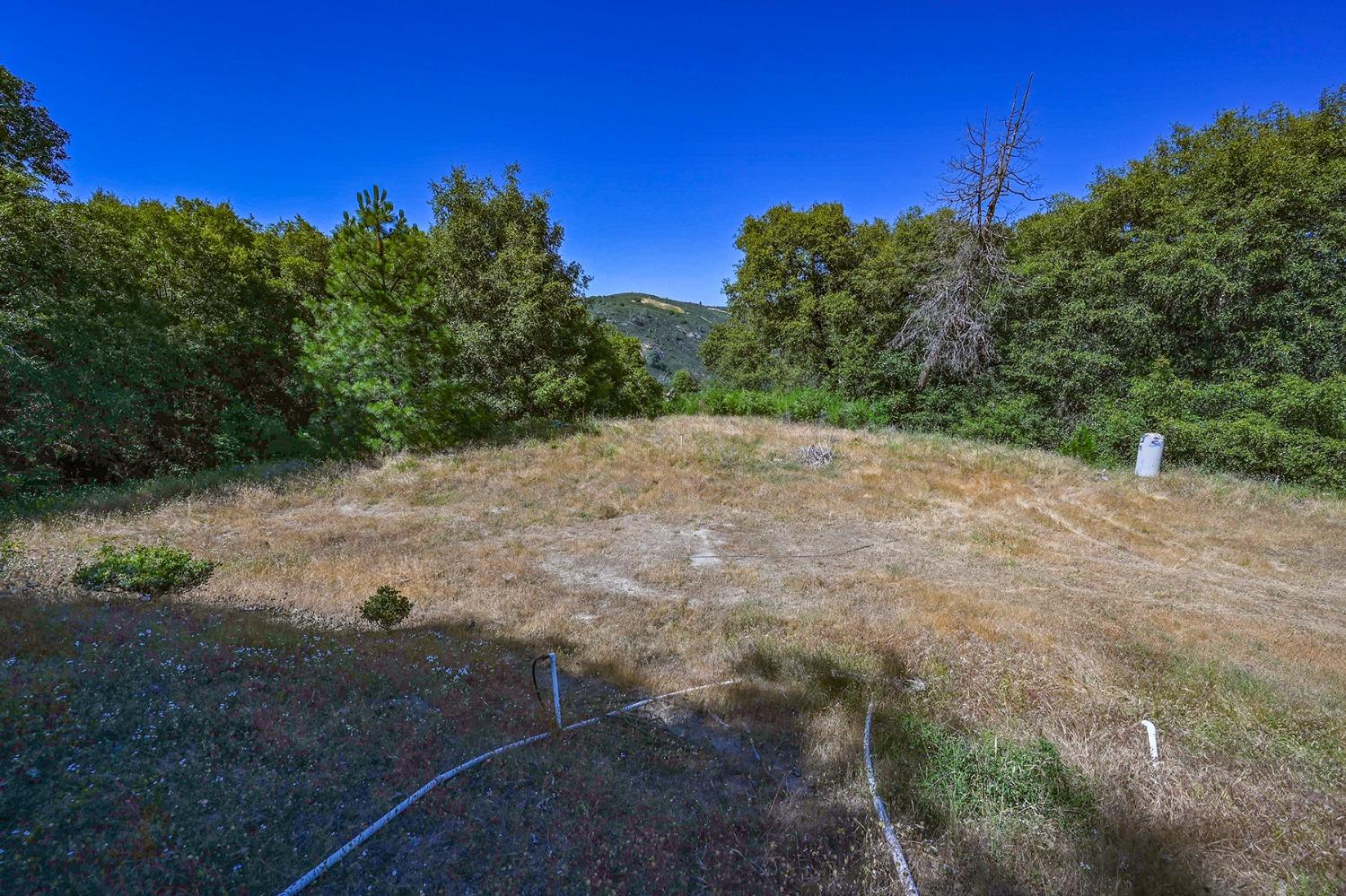 6860 Ant Hill Road Somerset, CA 95684 - Photo 6 of 40 a view of a dirt road with trees in the background