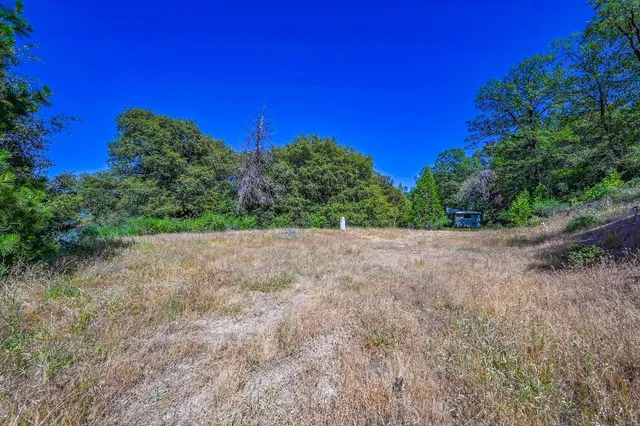 a view of a outdoor space with trees all around