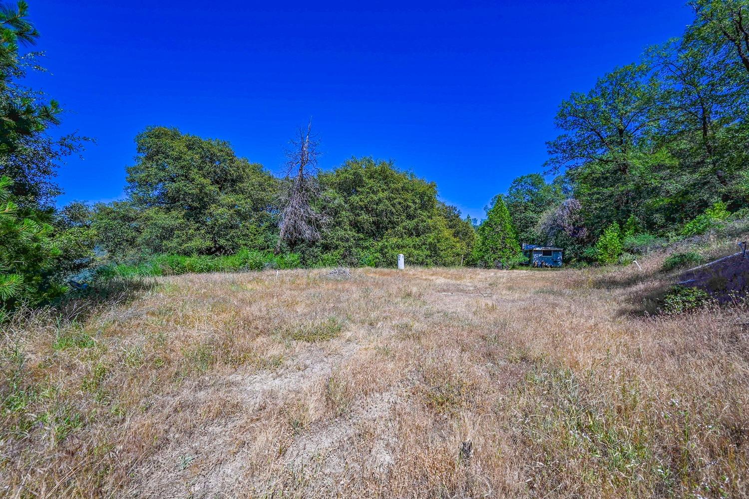 6860 Ant Hill Road Somerset, CA 95684 - Photo 7 of 40 a view of a outdoor space with trees all around