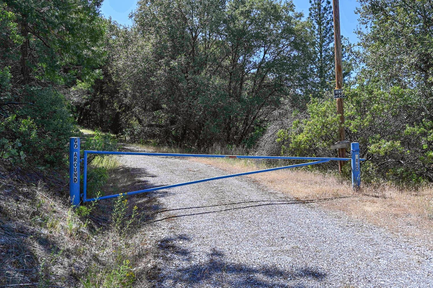 6860 Ant Hill Road Somerset, CA 95684 - Photo 8 of 40 a view of a backyard