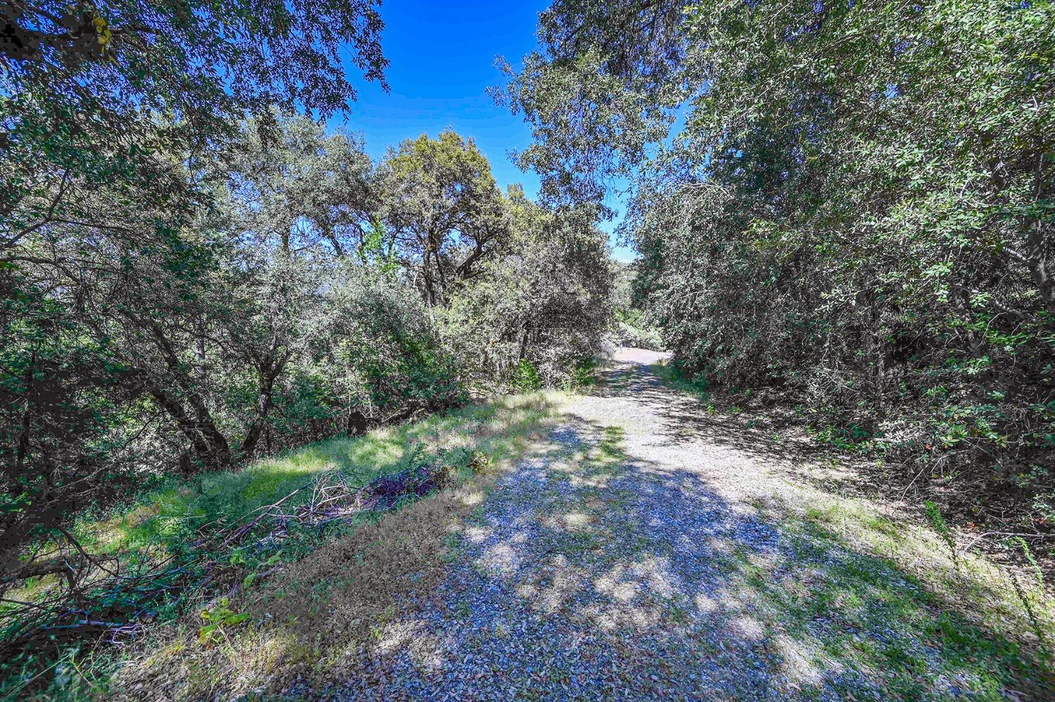 6860 Ant Hill Road Somerset, CA 95684 - Photo 10 of 40 a view of a forest with trees in the background