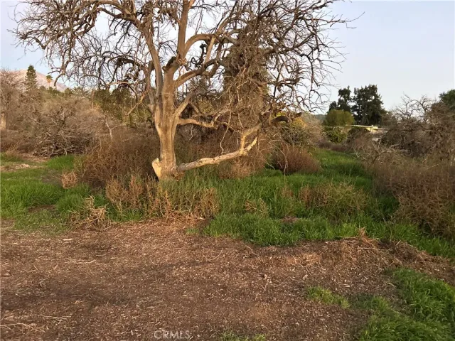 $590,000 | 400 Walnut, Redlands, CA 92373