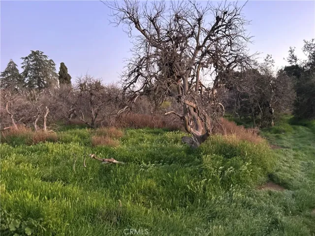 $590,000 | 400 Walnut, Redlands, CA 92373