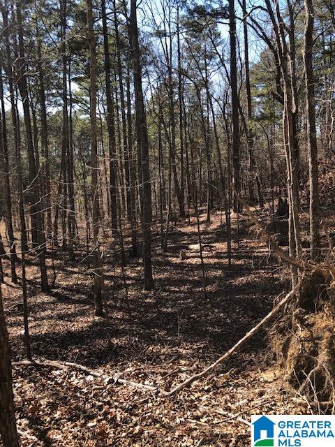 0 Pleasant Valley Road, Unit 1 Jacksonville, AL 36265 - Photo 18 of 24