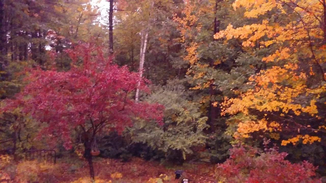 5 Youngs Road Ossipee, NH 03864 - Photo 34 of 40