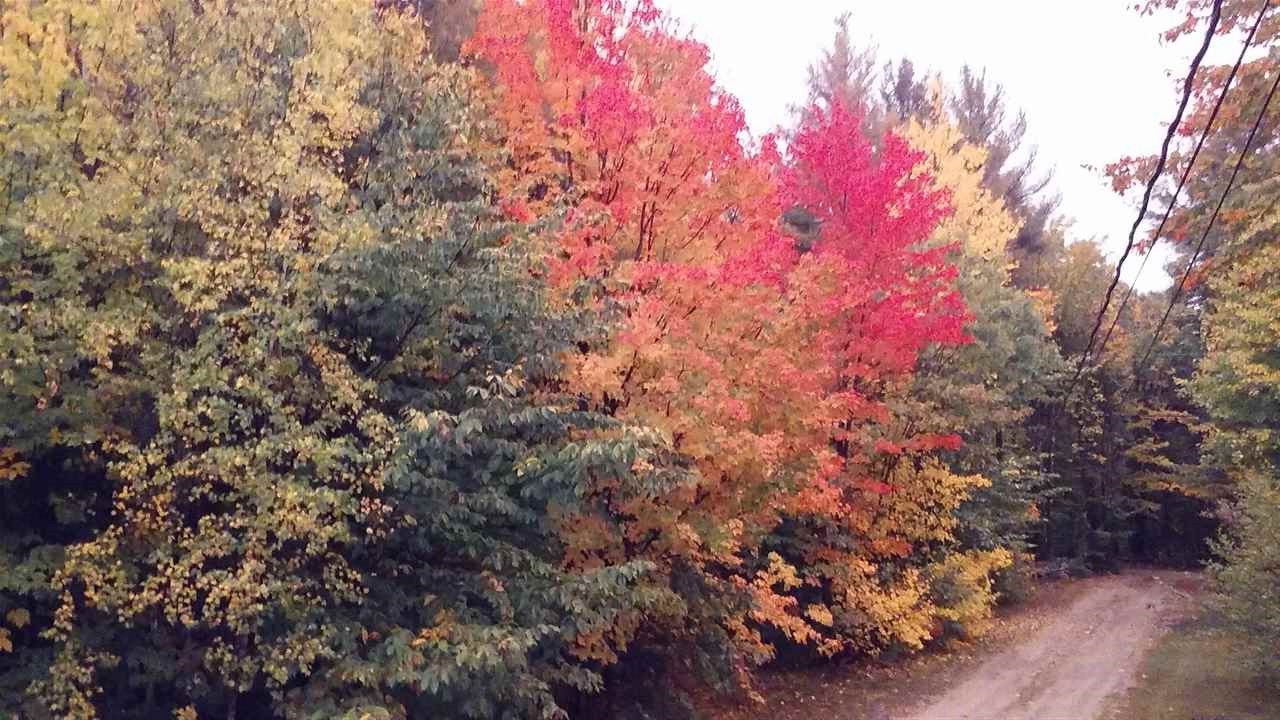 5 Youngs Road Ossipee, NH 03864 - Photo 37 of 40