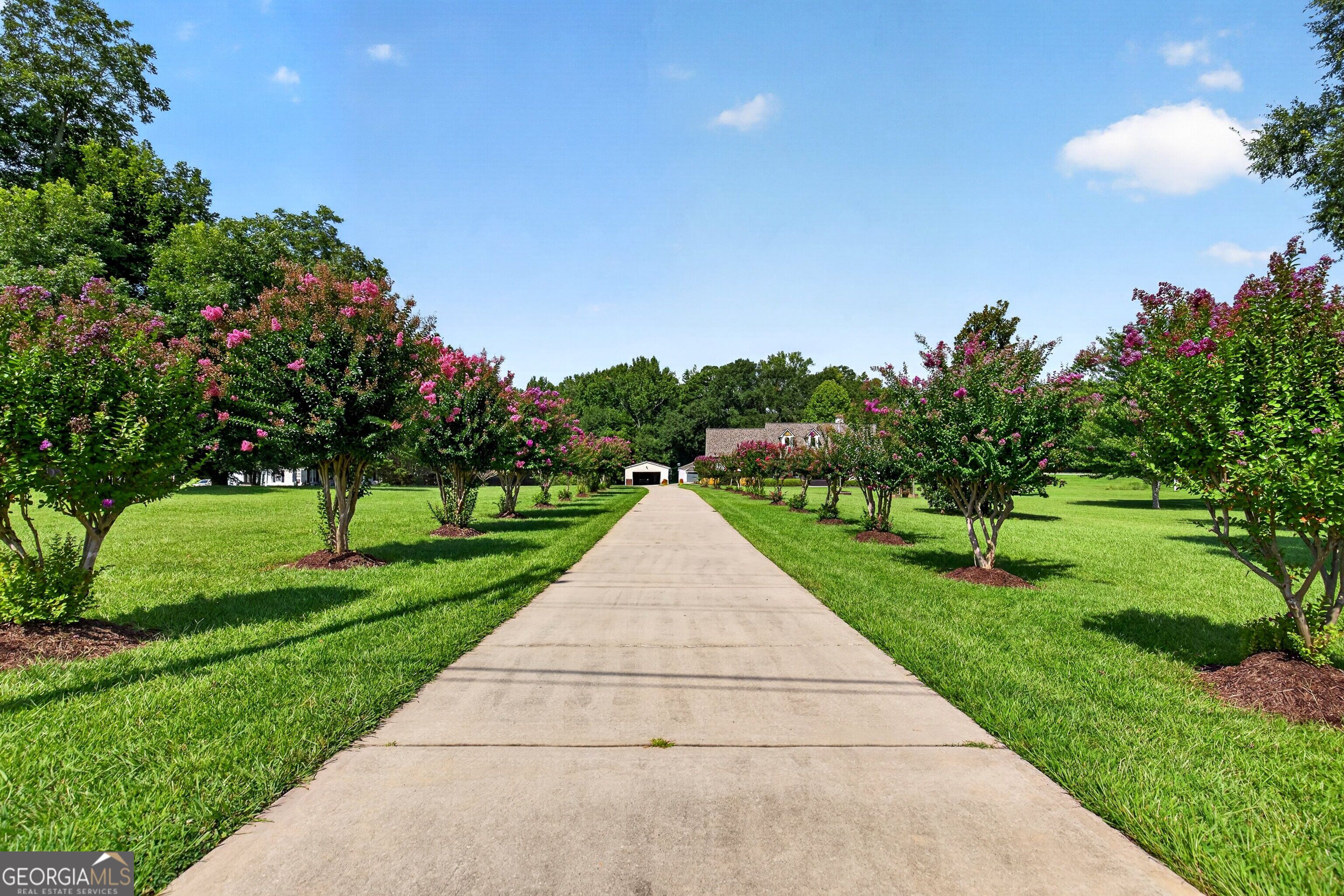 466 Bob Smith Road Sharpsburg, GA 30277 - Photo 3 of 66 Gallery Image 3