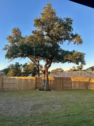 a view of a backyard