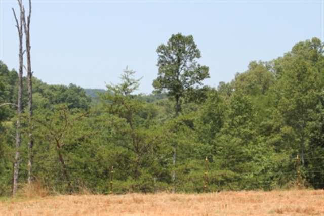 8-acres Spivey Road Westminster, SC 29693 - Photo 18 of 25 Gallery Image 18