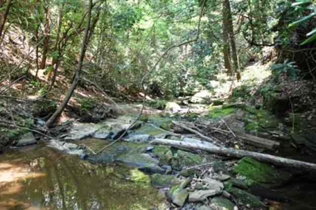 8-acres Spivey Road Westminster, SC 29693 - Photo 5 of 25 Gallery Image 5