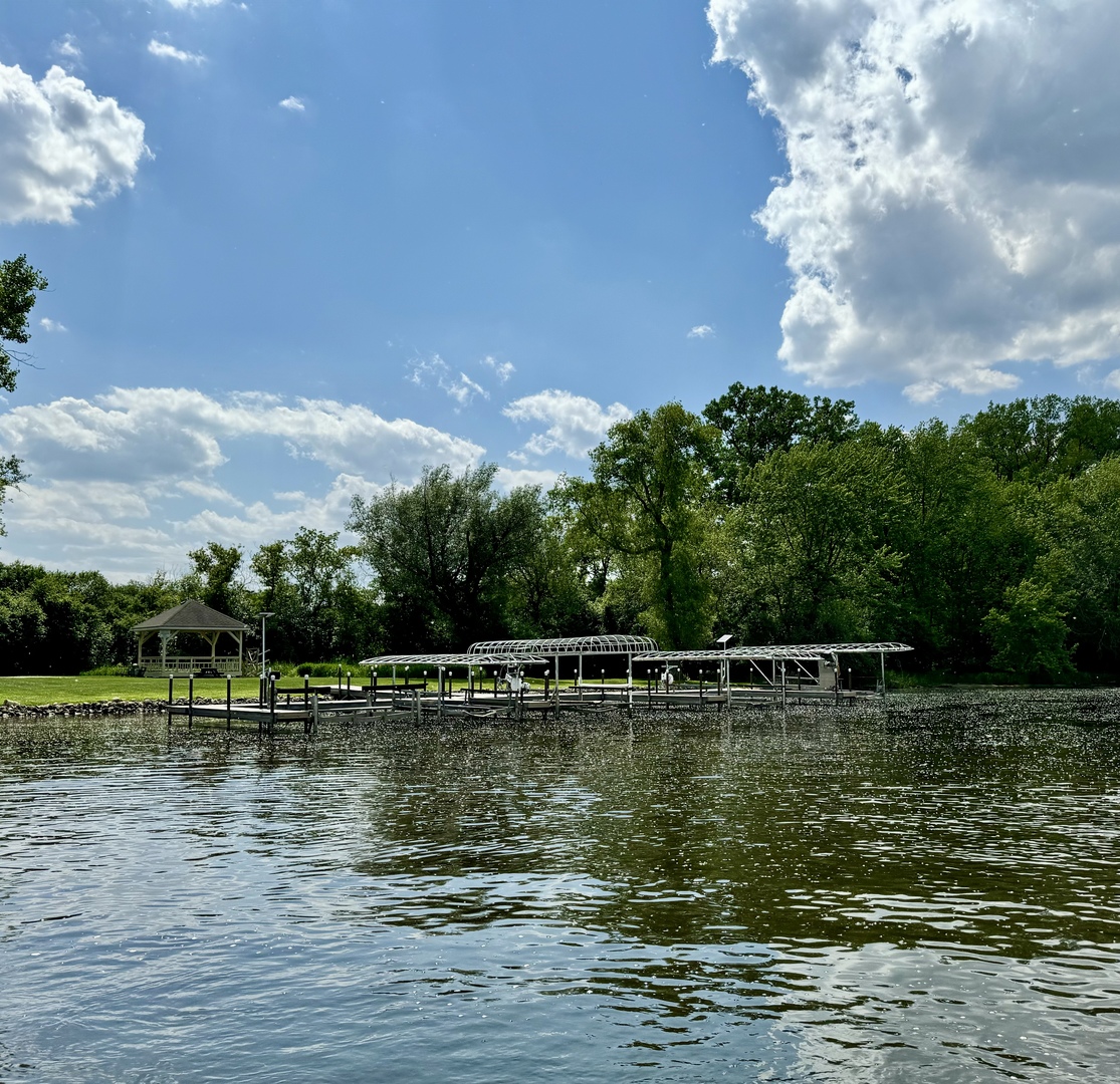 1005 Hilary Lane Cary, IL 60013 - Photo 37 of 43