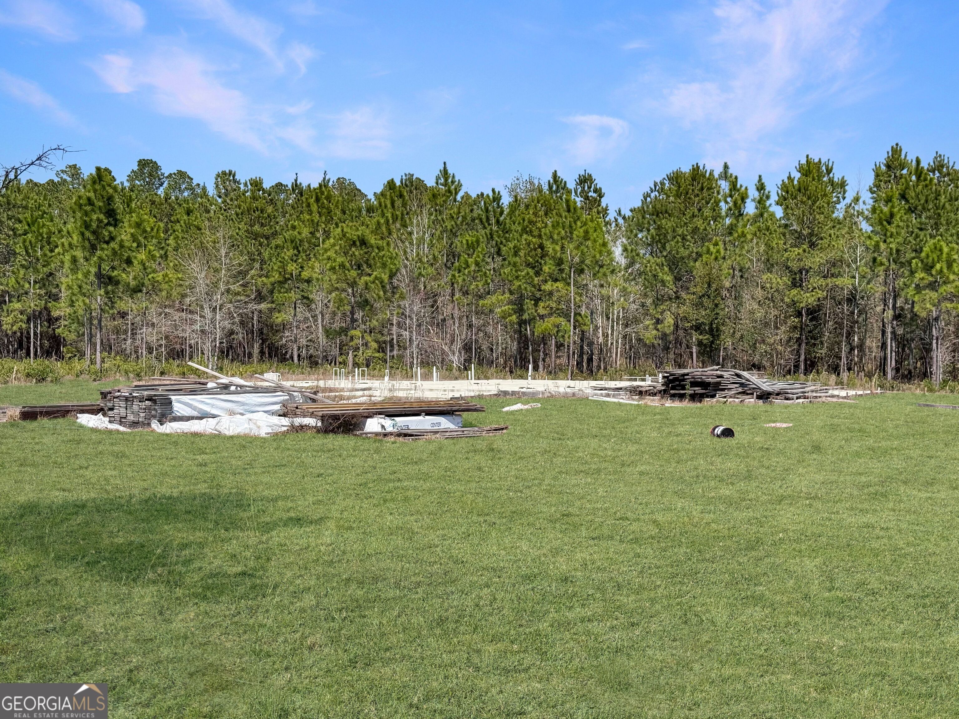 0 Humpback Road Hortense, GA 31543 - Photo 2 of 5 a garden view