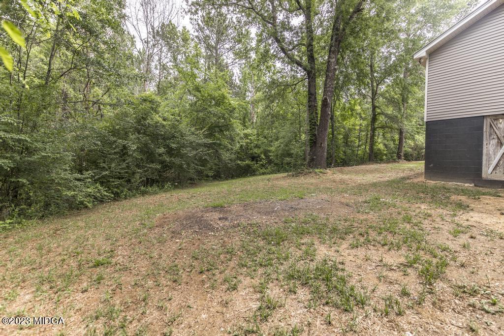 1734 Dixon Road Roberta, GA 31078 - Photo 35 of 40 a view of a yard with trees