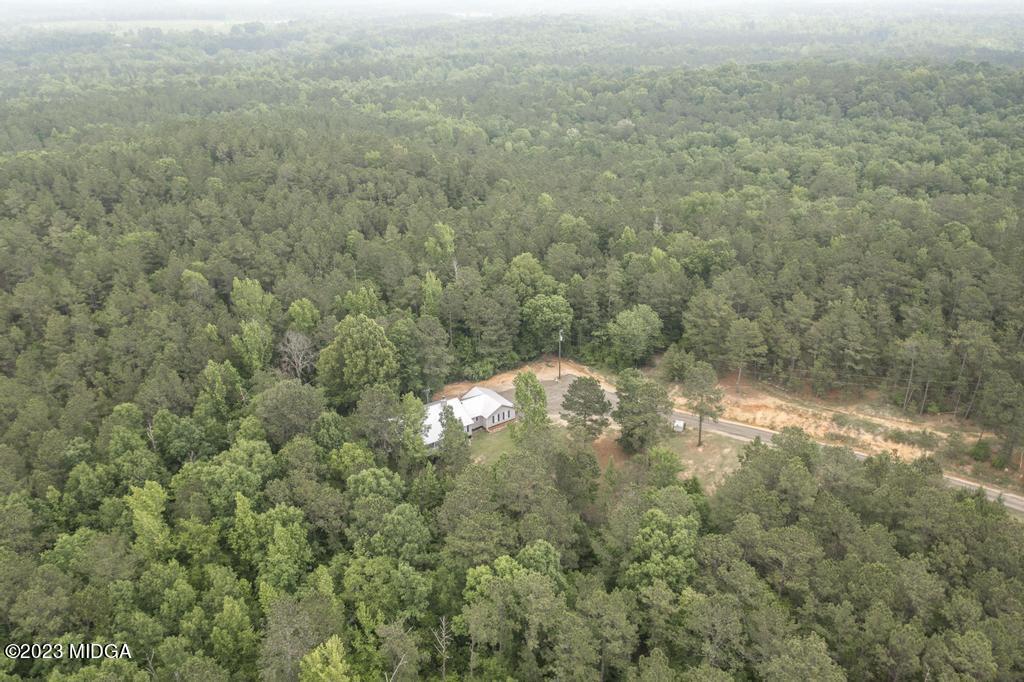 1734 Dixon Road Roberta, GA 31078 - Photo 39 of 40 a view of a forest that has a tree in it
