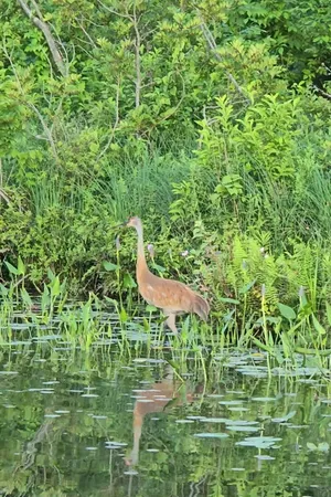 $599,999 | 14807 Huyck Lake Lane, Marcellus, MI 49067