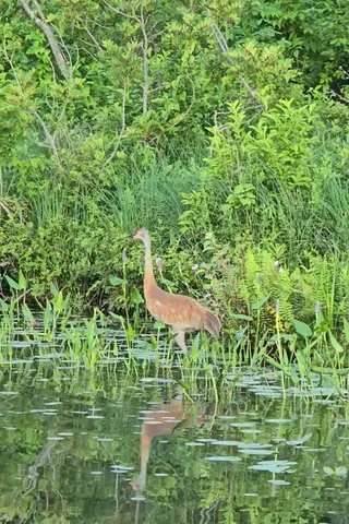 $599,999 | 14807 Huyck Lake Lane, Marcellus, MI 49067