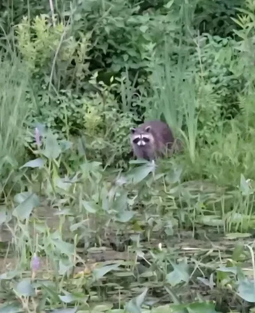 $599,999 | 14807 Huyck Lake Lane, Marcellus, MI 49067