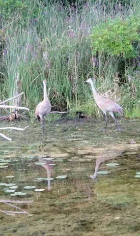 $599,999 | 14807 Huyck Lake Lane, Marcellus, MI 49067