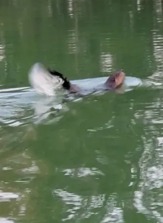 $599,999 | 14807 Huyck Lake Lane, Marcellus, MI 49067