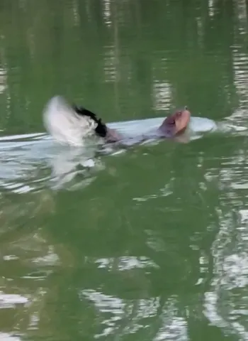 $599,999 | 14807 Huyck Lake Lane, Marcellus, MI 49067