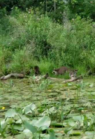 $599,999 | 14807 Huyck Lake Lane, Marcellus, MI 49067