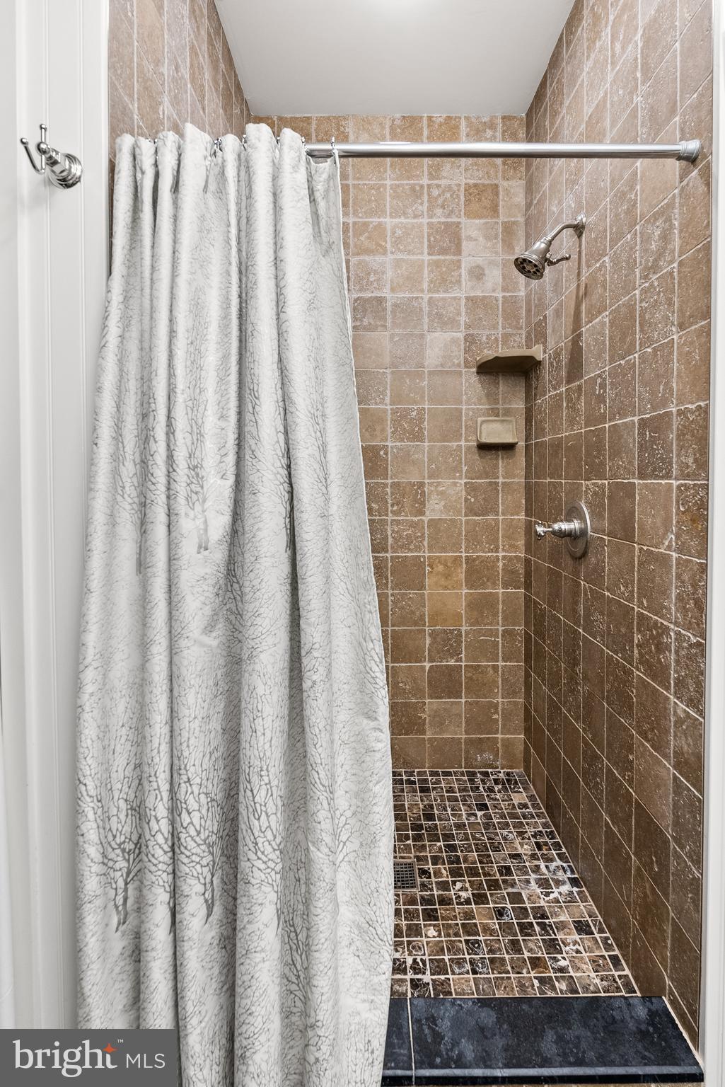 21100 West Offutt Road Poolesville, MD 20837 - Photo 19 of 58 Walk-in shower with corner niche