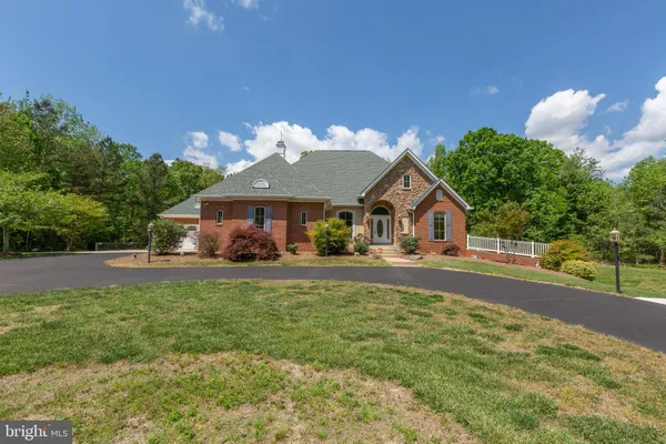 a view of a yard with plants and large trees