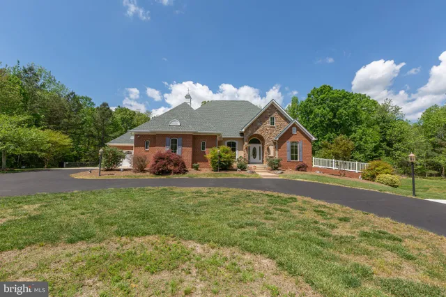 a view of a yard with plants and large trees