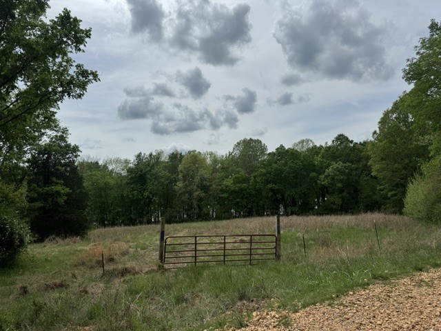 637 Hargis Road Bumpus Mills, TN 37028 - Photo 9 of 17